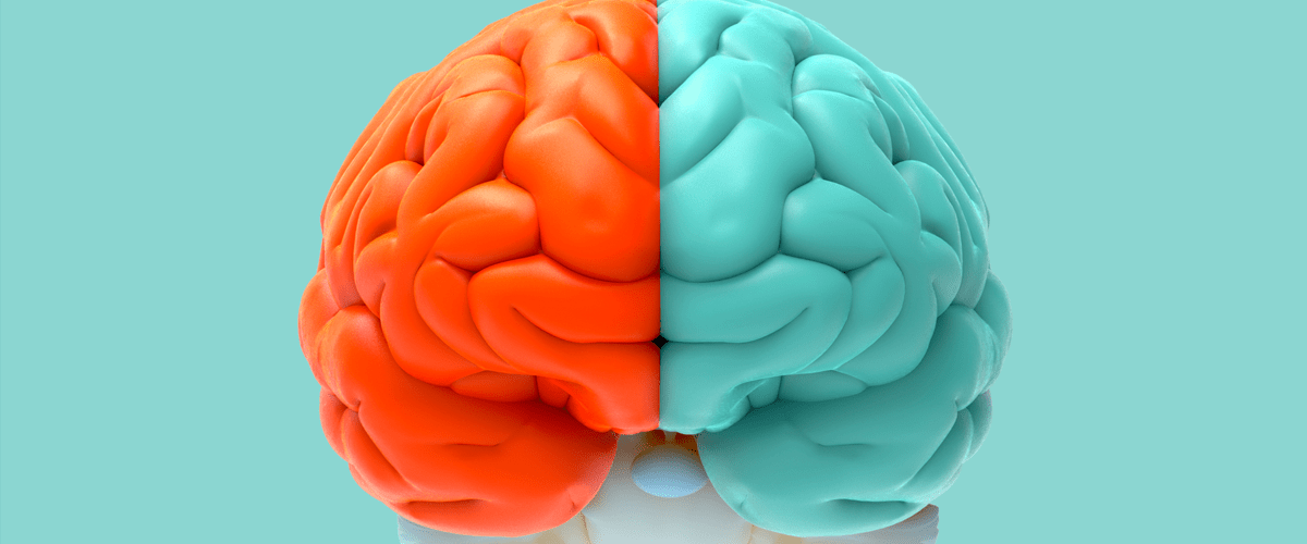 Entendiendo el cerebro: hemisferio derecho vs hemisferio izquierdo