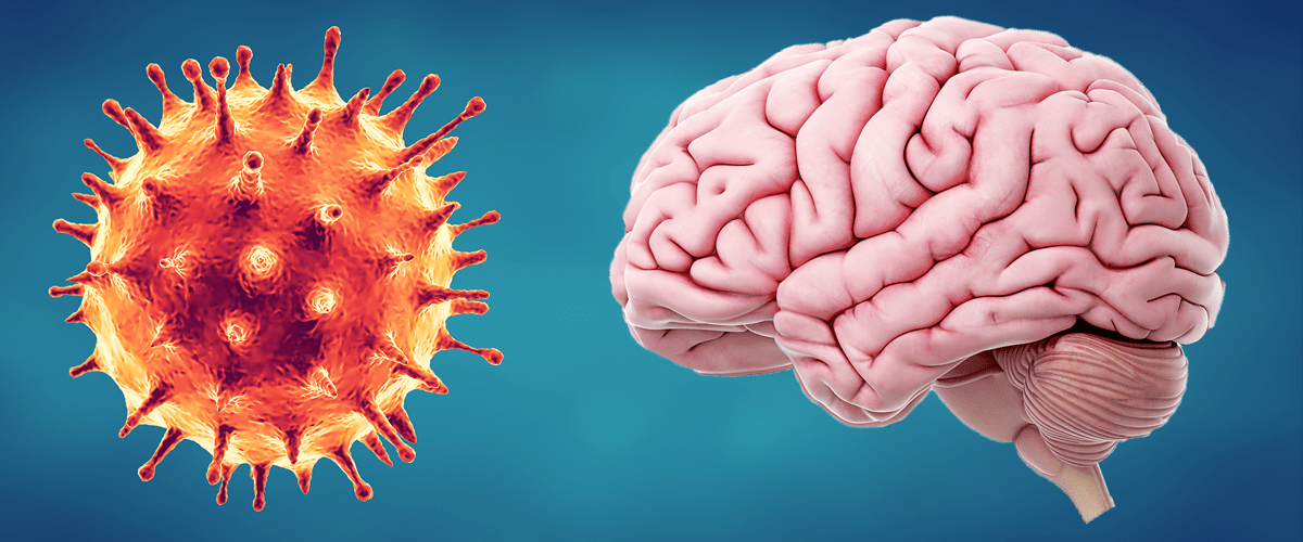 Infecciones virales como el COVID-19 y sus efectos en el cerebro