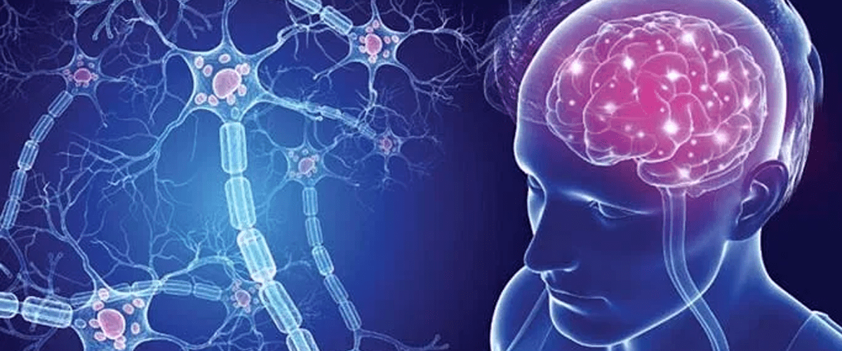 Esclerosis Múltiple y la afectación al SNC